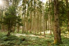 Kaisertischlerei - Tischlermeister Franz Kaiser 